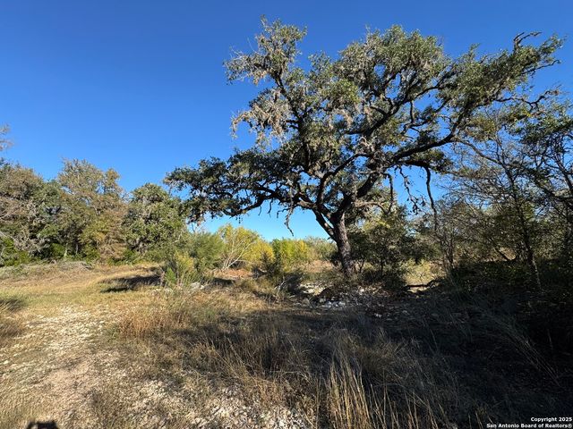 LOT 31 W CR 2801, Mico, TX 78056
