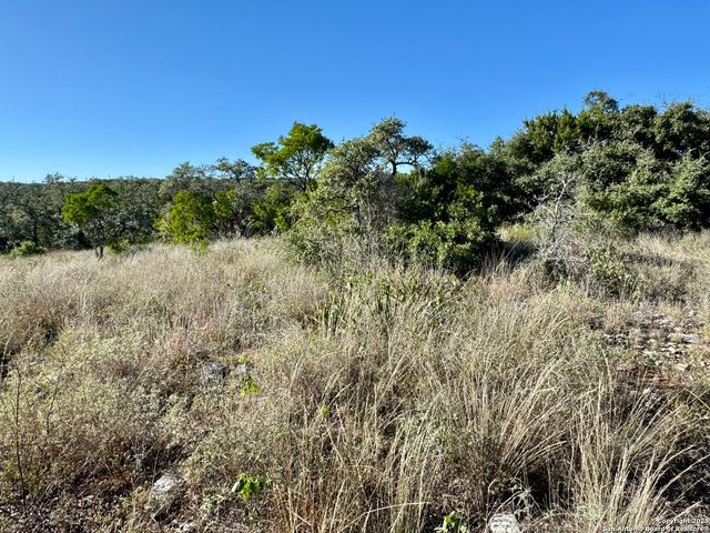 LOT 31 W CR 2801, Mico, TX 78056