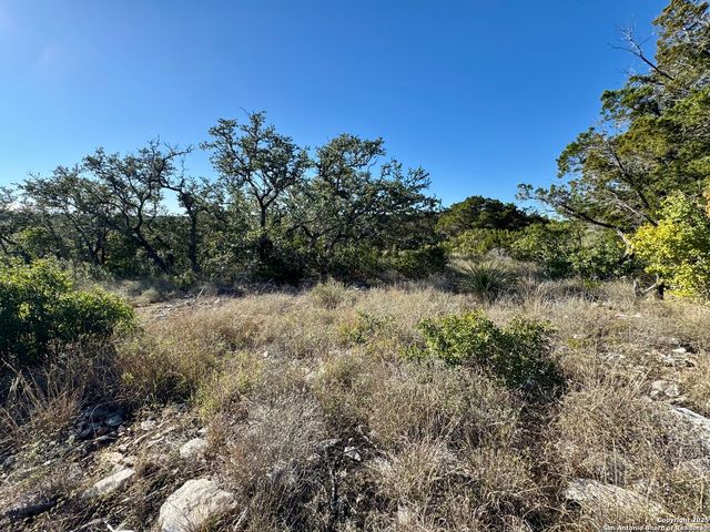 LOT 31 W CR 2801, Mico, TX 78056
