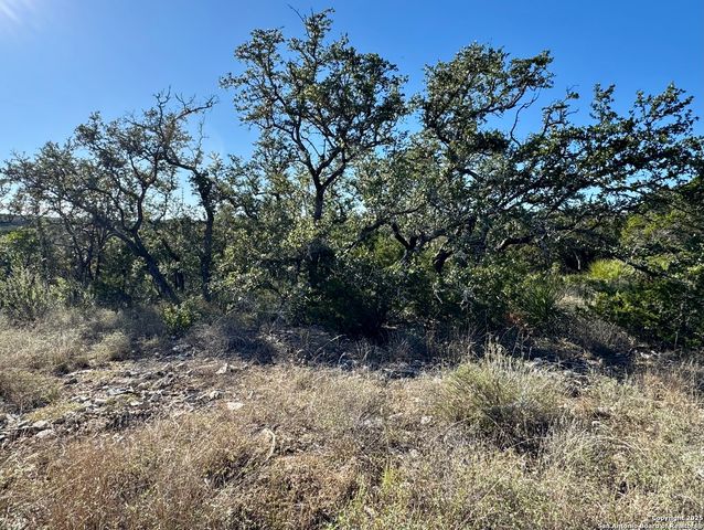 LOT 31 W CR 2801, Mico, TX 78056