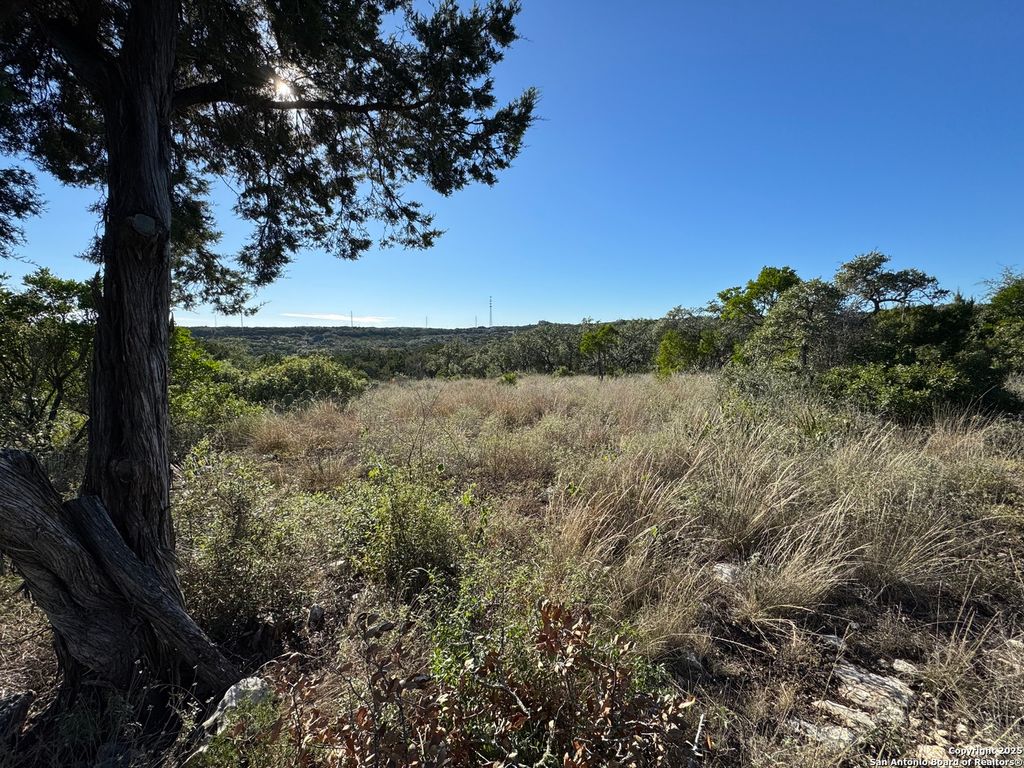 LOT 31 W CR 2801, Mico, TX 78056