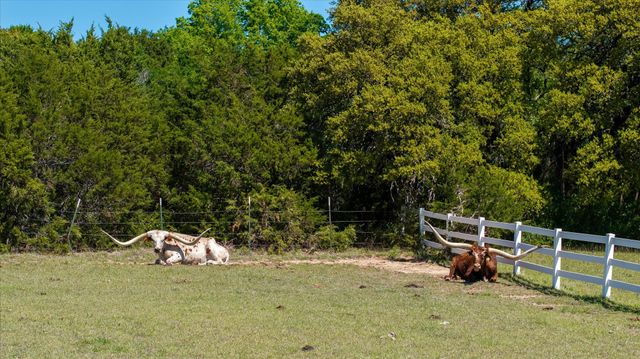 Lot 16 W Hidden Meadow Court, Cresson, TX 76035