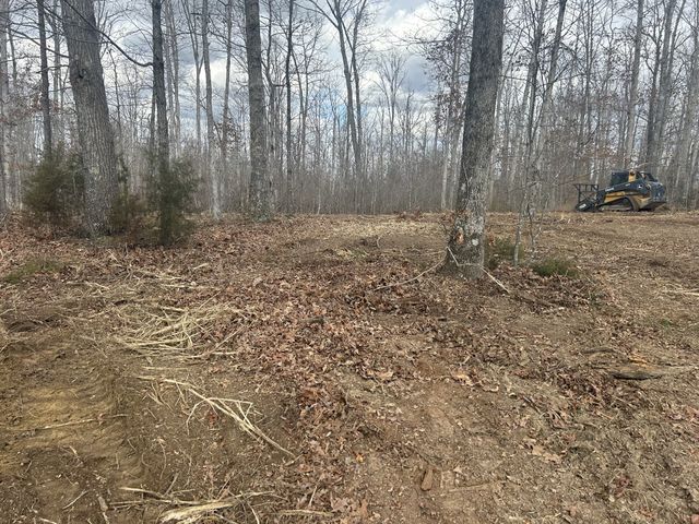 0 Hwy 7, Santa Fe, TN 38482