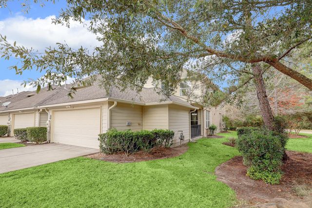 3 Crocus Petal Street, The Woodlands, TX 77382