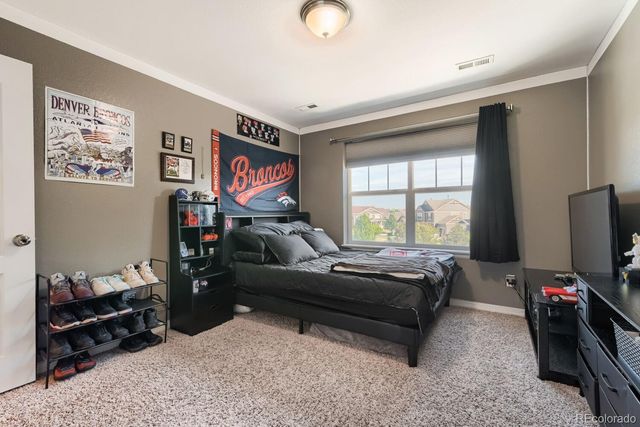 17067 E 99th Place, Commerce City, CO 80022