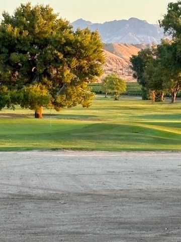 3898 Birdie Court, Blythe, CA 92225