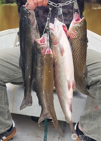 350 Dolphin Avenue NE, Ocean Shores, WA 98569