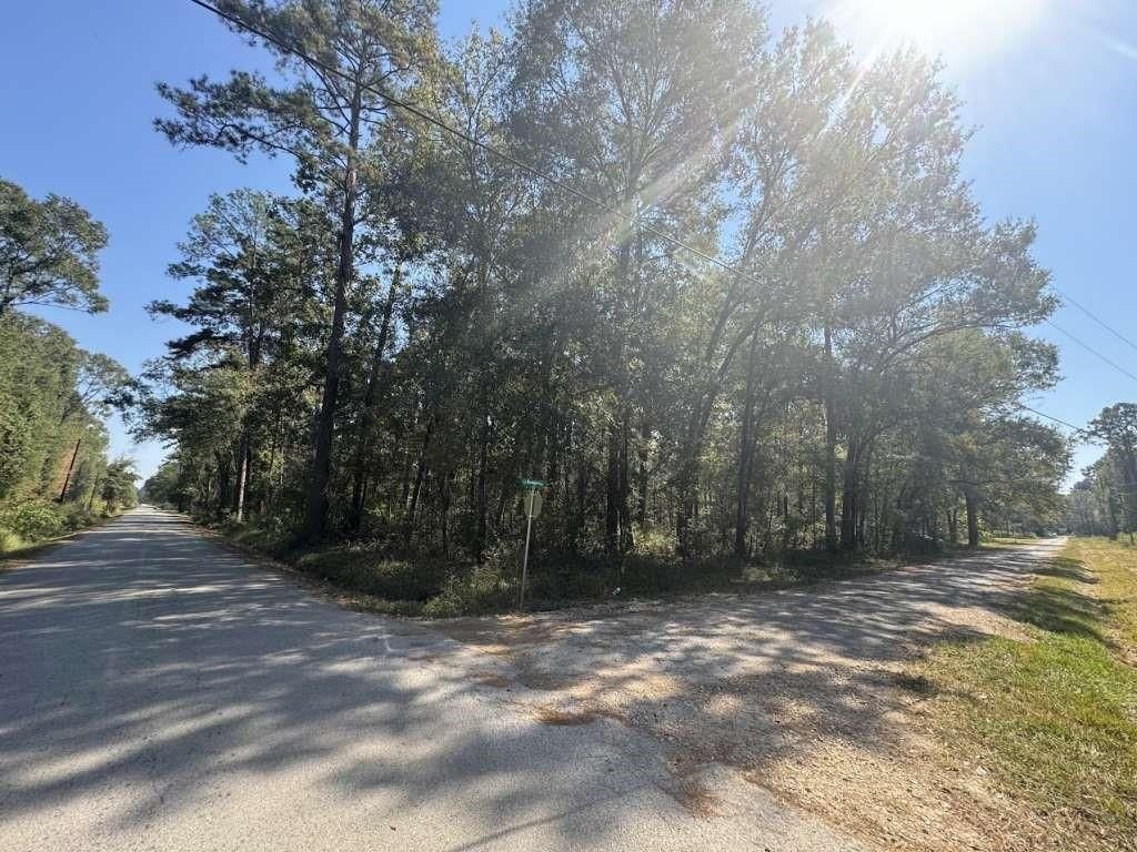 0 Dennis Peyton Road, Shepherd, TX 77371