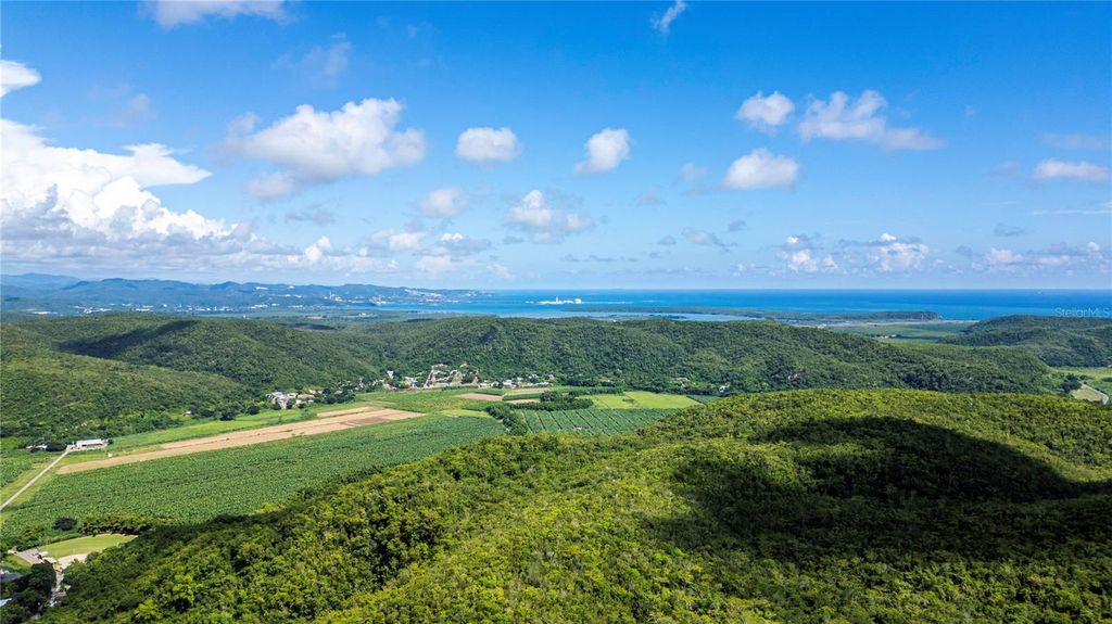 Image 3 of property listing at Calle 335 BARINAS, Yauco, PR 00698