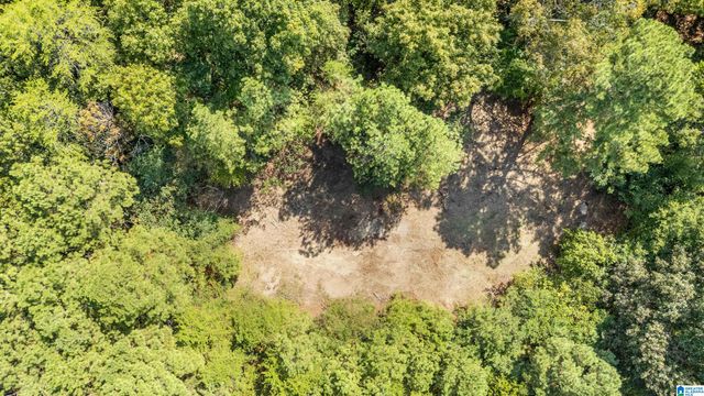 4339 PINE RIDGE ROAD, Mount Olive, AL 35117