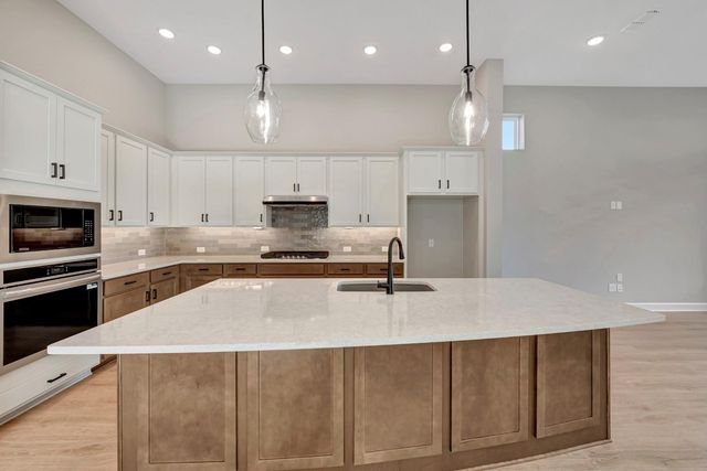 2470 Guava Hills Lane, Manvel, TX 77578