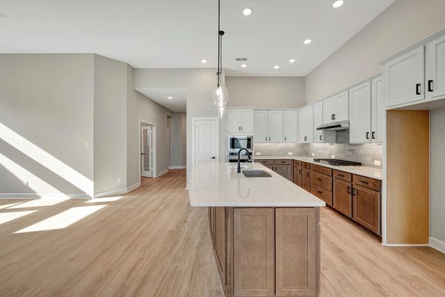 2470 Guava Hills Lane, Manvel, TX 77578