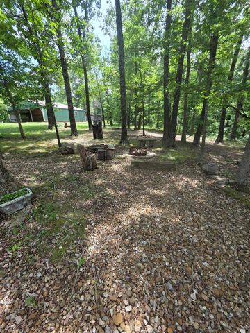 261 Wintergrape Lane, Rogersville, MO 65742