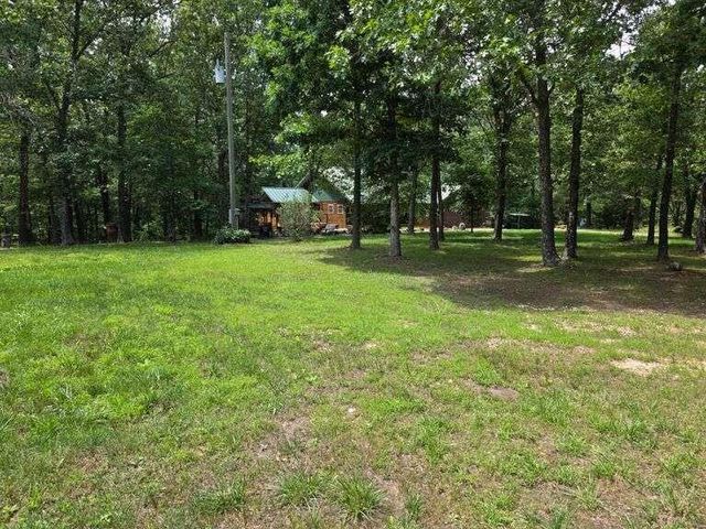 261 Wintergrape Lane, Rogersville, MO 65742