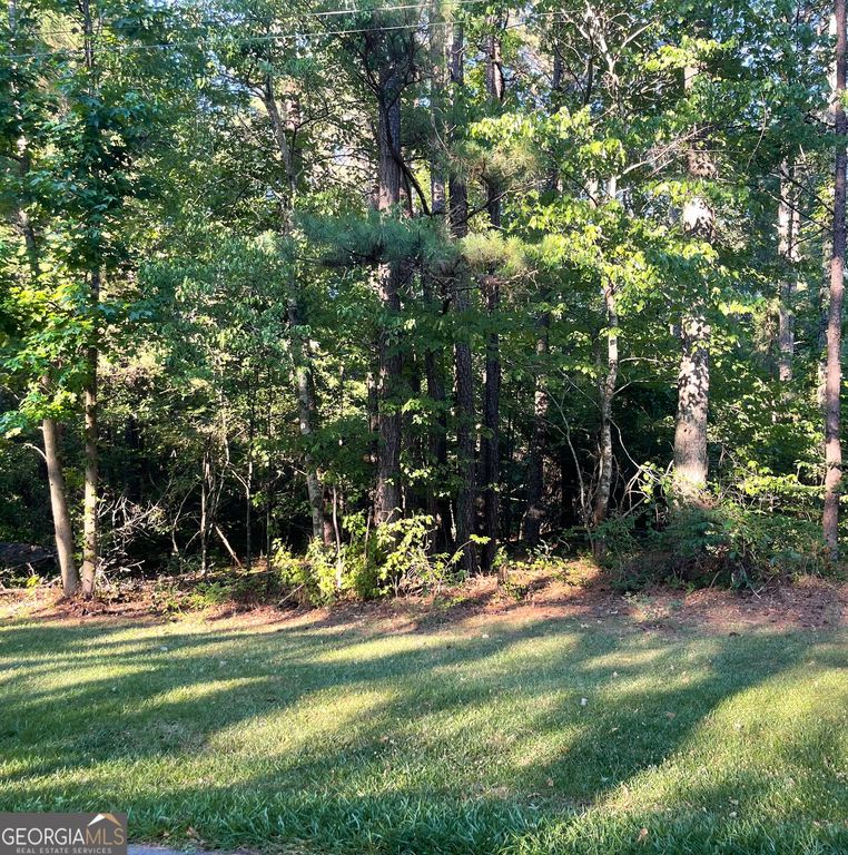 825 North Lake Circle, Oxford, GA 30054