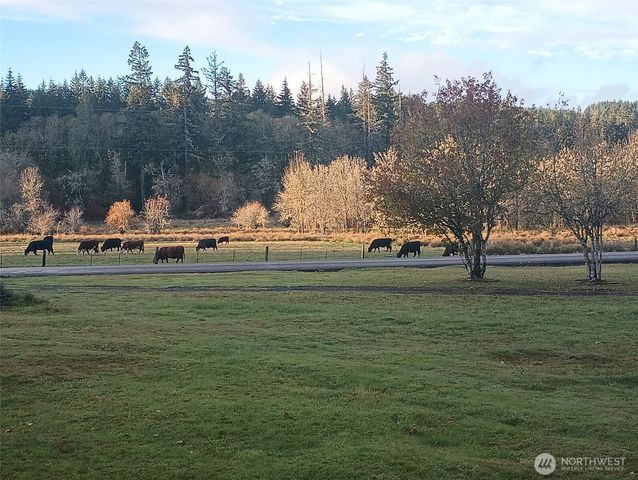 397 Bunker and 0 Bunker Road, Chehalis, WA 98532