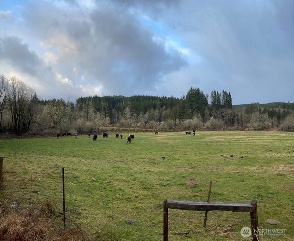397 Bunker and 0 Bunker Road, Chehalis, WA 98532