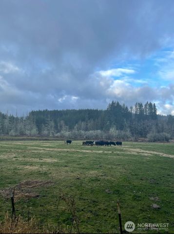 397 Bunker and 0 Bunker Road, Chehalis, WA 98532