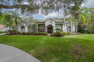 15801 DAWSON RIDGE DRIVE, Tampa, FL 33647