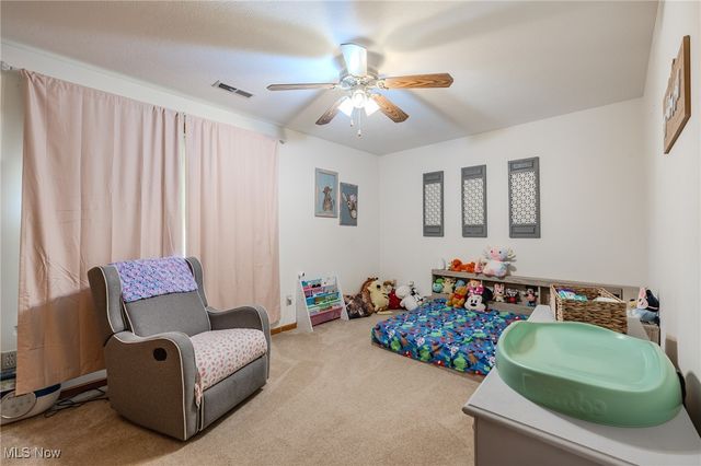 754 Chestnut Street, Geneva, OH 44041