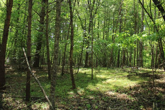 46 Chatuge Lane, Hayesville, NC 28904