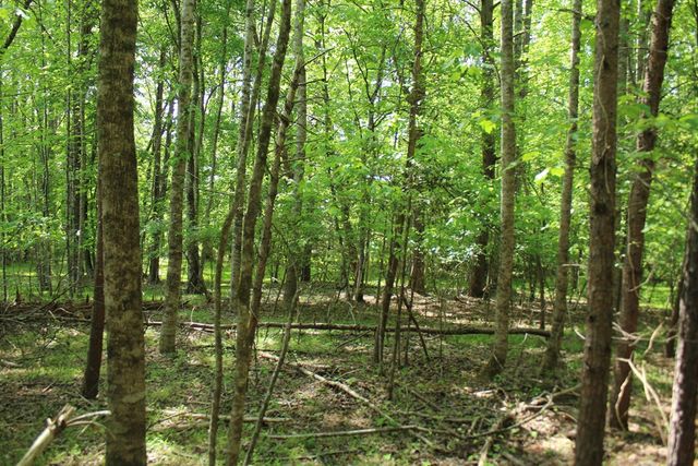46 Chatuge Lane, Hayesville, NC 28904