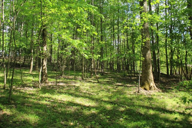 46 Chatuge Lane, Hayesville, NC 28904