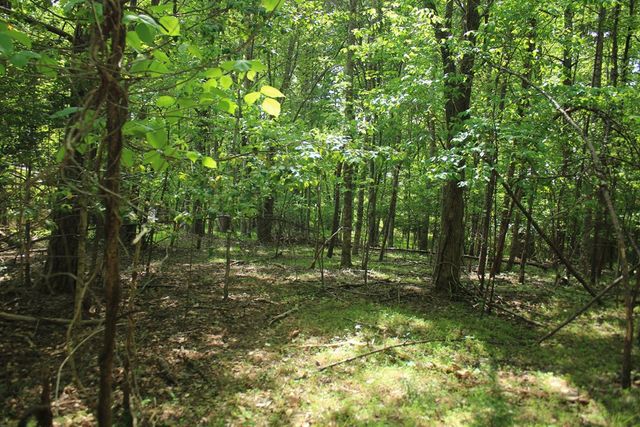 46 Chatuge Lane, Hayesville, NC 28904