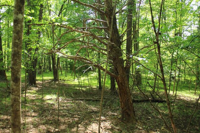 46 Chatuge Lane, Hayesville, NC 28904