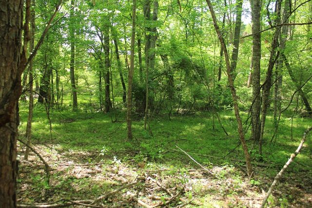 46 Chatuge Lane, Hayesville, NC 28904