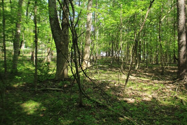 46 Chatuge Lane, Hayesville, NC 28904