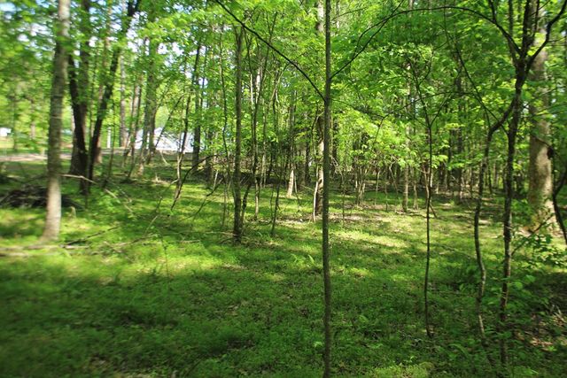 46 Chatuge Lane, Hayesville, NC 28904