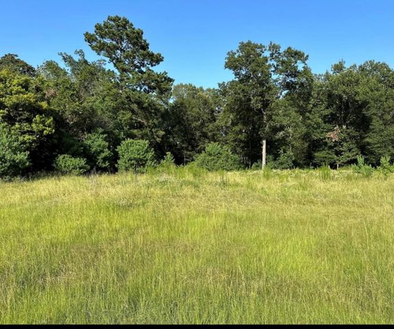 28406 Calaveras Creek Court, Houston, TX 77336