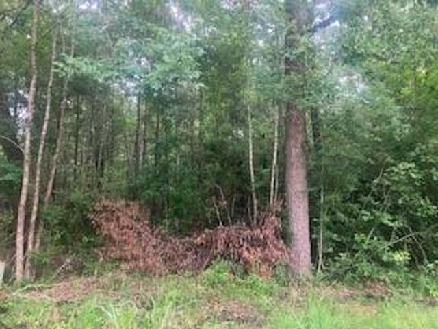 000 Wildwood Flower Circle, Livingston, TX 77351