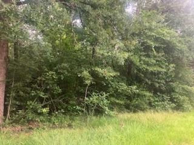 000 Wildwood Flower Circle, Livingston, TX 77351