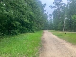 000 Wildwood Flower Circle, Livingston, TX 77351
