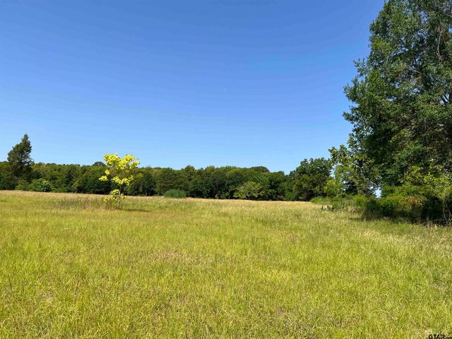 16326 HWY 155, Tyler, TX 75703