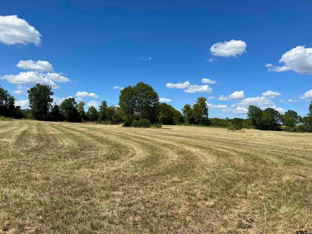16326 HWY 155, Tyler, TX 75703
