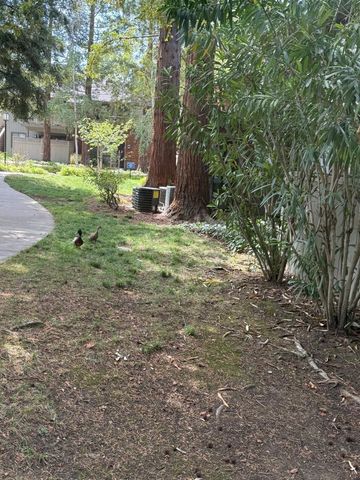 3105 La Terrace Circle, San Jose, CA 95123