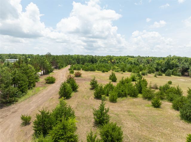 TBD Tract 5 CR 2997, Honey Grove, TX 75446