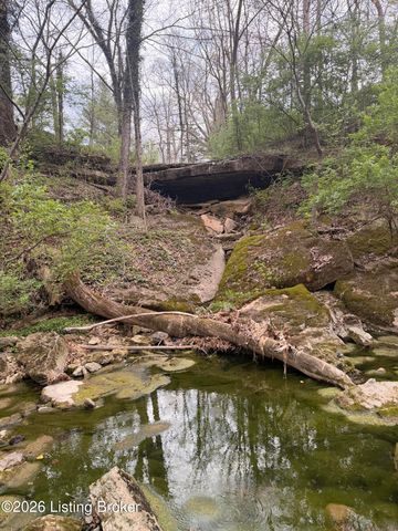 1574 Wales Run Rd, Mt Washington, KY 40047