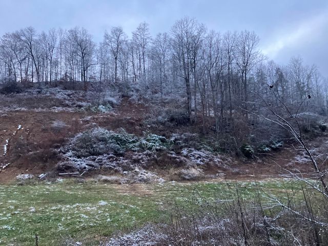 264 Sunshine Lane, West Liberty, KY 41472