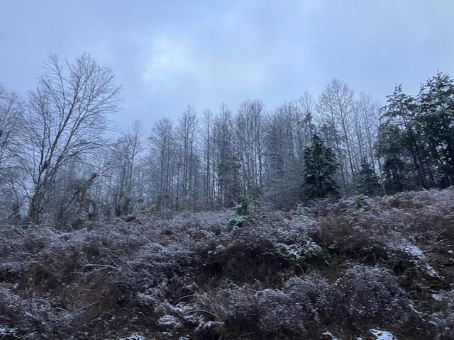 264 Sunshine Lane, West Liberty, KY 41472