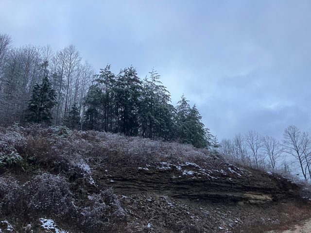 264 Sunshine Lane, West Liberty, KY 41472