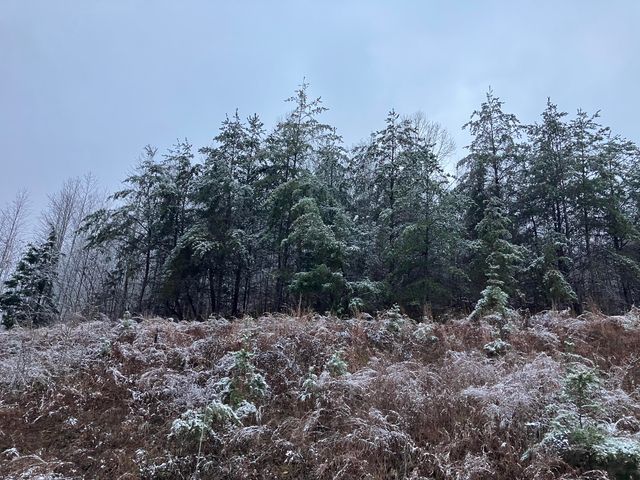 264 Sunshine Lane, West Liberty, KY 41472