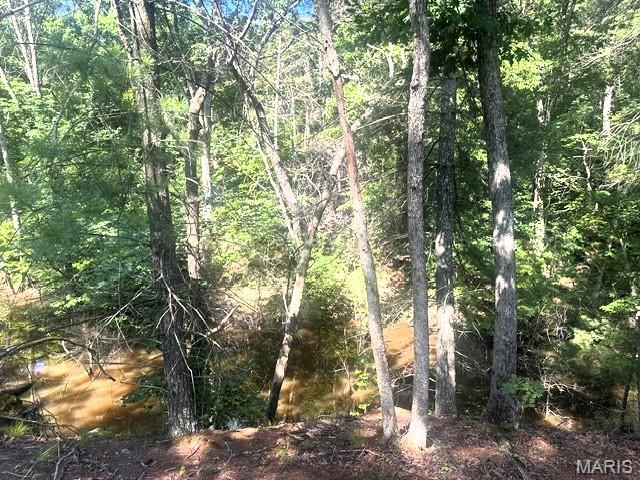 3200 Mossy Ridge Way, Pacific, MO 63069