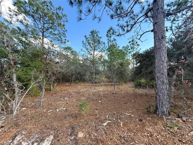 8951 N CITRUS SPRINGS BOULEVARD, Citrus Springs, FL 34433