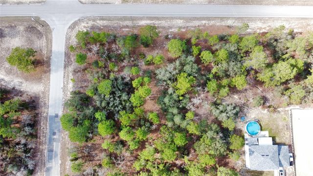 8951 N CITRUS SPRINGS BOULEVARD, Citrus Springs, FL 34433