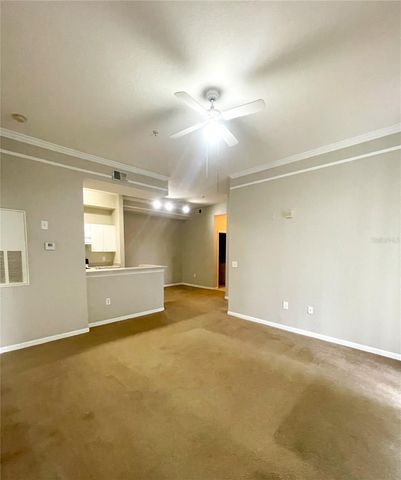 17112 CARRINGTON PARK DRIVE 924, Tampa, FL 33647