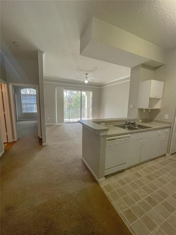 17112 CARRINGTON PARK DRIVE 924, Tampa, FL 33647